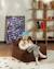 Pouf poire chambre enfant - fauteuil comfortable en teddy Biscuit+Cream white+Guava+Maple+Matcha+Warm hazel 31 - vertbaudet enfant 