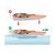 Bateau télécommandé  rc rc sea hawk rtr Orange 4 - vertbaudet enfant 