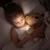 Lampe torche animaux en silicone pour enfants Beige+Bleu ciel+Camel+Écru+Marron+Orange+Rose+Taupe+Vert 20 - vertbaudet enfant 