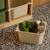 Meuble de rangement enfant 6 bacs de rangement en plastique colorés - sora Moutarde+Vert olive 11 - vertbaudet enfant 