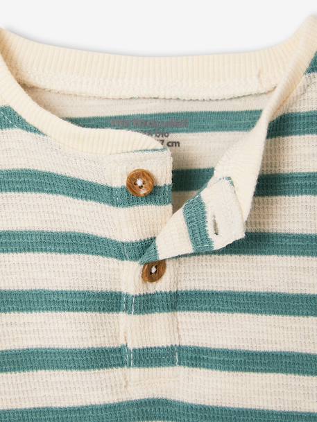 T-shirt bébé coton bio bleu+vert émeraude 5 - vertbaudet enfant 