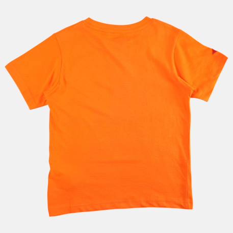 T shirt garçon manches courtes imprimé Jaune+Kaki+Marine+Noir+Orange 20 - vertbaudet enfant 