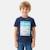 T shirt garçon manches courtes imprimé Beige+Bleu+Gris+Marine+Noir 14 - vertbaudet enfant 