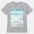 T shirt garçon manches courtes imprimé Beige+Bleu+Gris+Marine+Noir 11 - vertbaudet enfant 