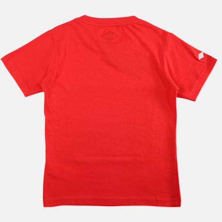 T shirt garçon manches courtes imprimé Bleu+Gris+Kaki+Kaki foncé+Rouge 20 - vertbaudet enfant 