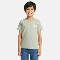 Garçon-T-shirt, polo, sous-pull-T-shirt-T shirt garçon manches courtes