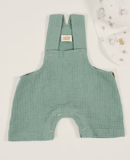 Combinaison bébé mini maya Anthracite+Beige+Bleu+Terracotta+Vert 19 - vertbaudet enfant 