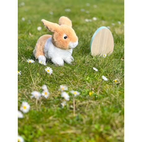 Peluche - peluche lapin allongé - beige et blanc -  20 cm Beige 2 - vertbaudet enfant 