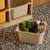 Meuble de rangement enfant 6 bacs de rangement en plastique colorés - sora Moutarde+Vert olive 6 - vertbaudet enfant 