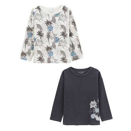 Lot de 2 t-shirts enfant manches longues tonga Bleu 2 - vertbaudet enfant 