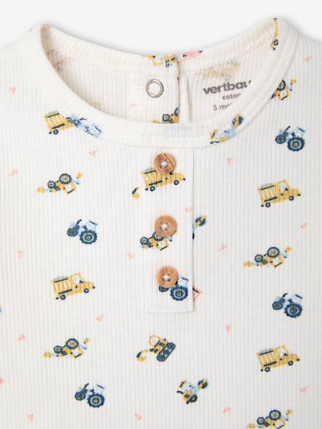 Lot 2 pyjashorts coton bio tomette 10 - vertbaudet enfant 