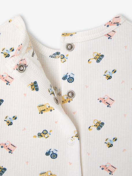 Lot 2 pyjashorts coton bio tomette 11 - vertbaudet enfant 