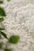 Tapis shaggy épais en polyester recyclé avec relief arcadia Beige sable 6 - vertbaudet enfant 