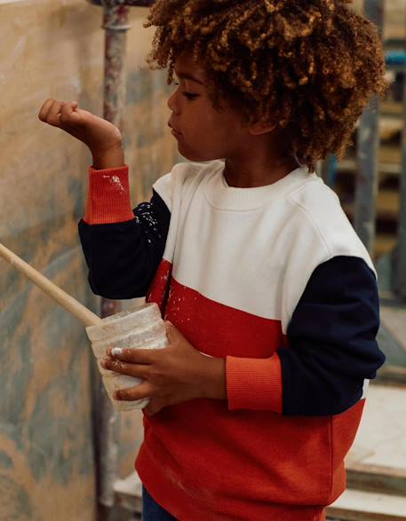 Garçon-Pull, gilet, sweat-Sweat en coton avec blocs de couleur