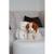 Peluche - dogz & kats sonores 18 cm - chat Blanc 5 - vertbaudet enfant 