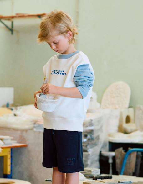 Sweat en coton à bloc de couleurs et imprimé Bleu clair 1 - vertbaudet enfant 