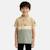 Polo manches courtes garçon imprimé Beige+Marine+Noir+Vert 1 - vertbaudet enfant 