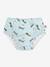 Maillot de bain couche Camion bleu 1 - vertbaudet enfant 