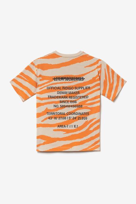 Tee-shirt zabrabo Zebra 6 - vertbaudet enfant 