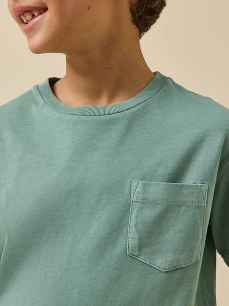 T-shirt garçon - coton biologique Celadon+Denim bleu 3 - vertbaudet enfant 