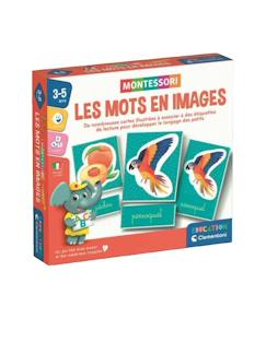 Jouet-Jeu éducatif montessori – développement du vocabulaire et observation – dès 3 ans