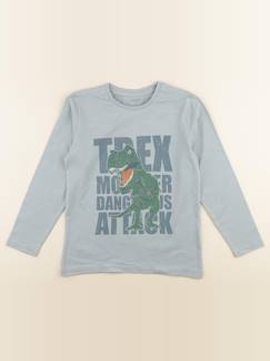 Seconde main-Garçon-Tee-shirt - 10 ans