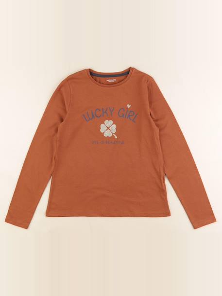Tee-shirt - 10 ans Marron 1 - vertbaudet enfant 