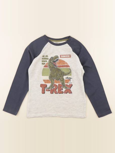 Tee-shirt - 8 ans Bleu, gris 1 - vertbaudet enfant 