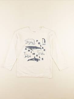 Seconde main-Garçon-Tee-shirt - 10 ans