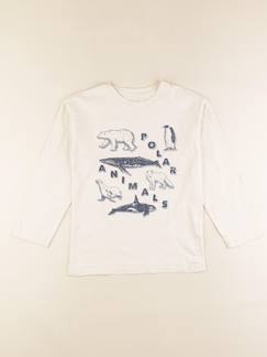 Seconde main-Garçon-Tee-shirt - 10 ans
