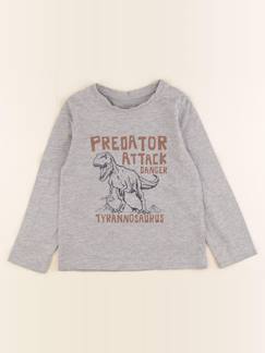 Seconde main-Garçon-Tee-shirt - 4 ans