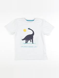 Seconde main-Garçon-Tee-shirt - 12 ans
