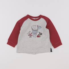 Seconde main-Garçon-Tee-shirt - 9 mois