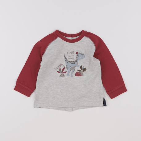 Tee-shirt - 9 mois Gris, rouge 1 - vertbaudet enfant 