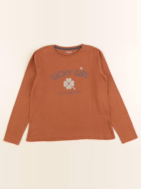 Tee-shirt - 10 ans Marron 1 - vertbaudet enfant 