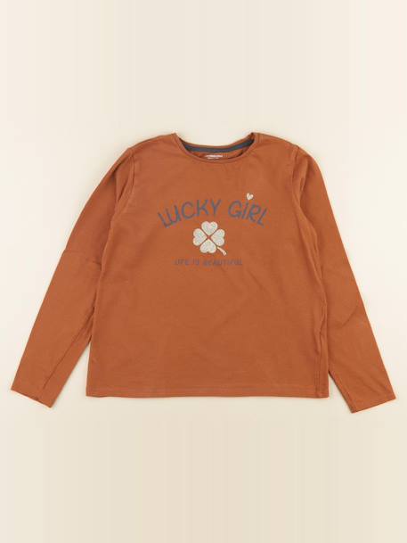 Tee-shirt - 10 ans Marron 1 - vertbaudet enfant 