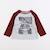 Tee-shirt - 2 ans Gris 1 - vertbaudet enfant 