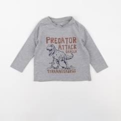 Seconde main-Garçon-Tee-shirt - 2 ans