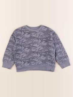 Seconde main-Garçon-Sweat - 6 ans