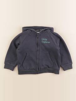 Seconde main-Garçon-Sweat - 24 mois