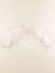Blouse - 24 mois Beige 1 - vertbaudet enfant 