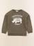 Sweat - 6 mois Vert 1 - vertbaudet enfant 