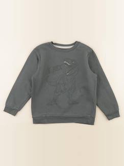 Seconde main-Garçon-Sweat - 6 ans
