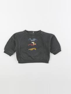 Seconde main-Garçon-Sweat - 6 mois