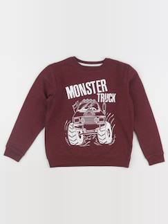 Seconde main-Garçon-Sweat - 10 ans