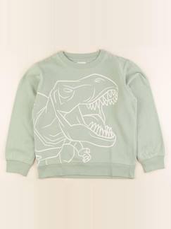 Seconde main-Garçon-Sweat - 10 ans