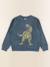 Sweat - 10 ans Vert 1 - vertbaudet enfant 
