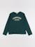 Sweat - 12 ans Vert 1 - vertbaudet enfant 
