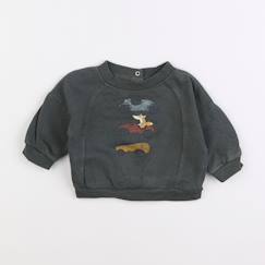 Seconde main-Garçon-Sweat - 3 mois