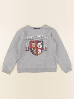 Seconde main-Garçon-Sweat - 10 ans